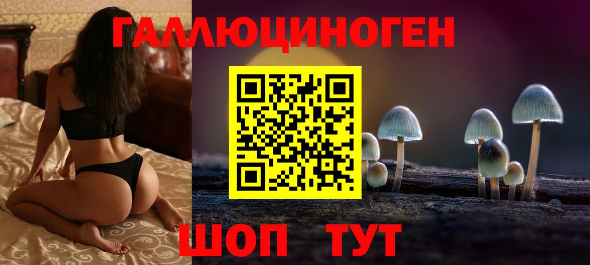 Галлюциногенные грибы MAGIC MUSHROOMS  Вход с VPN  Шадринск 